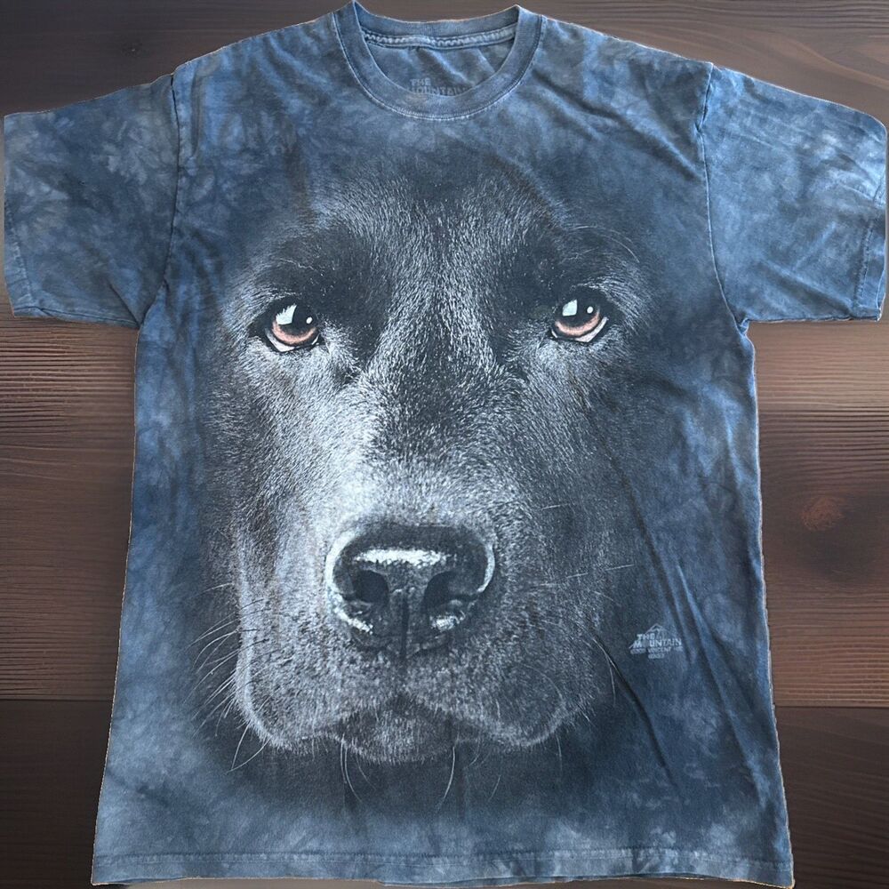 The Mountain Large Print Tshirt Size Large* Distressed Grey GUC